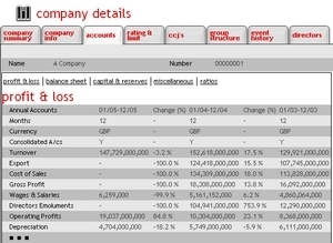 Online company credit report